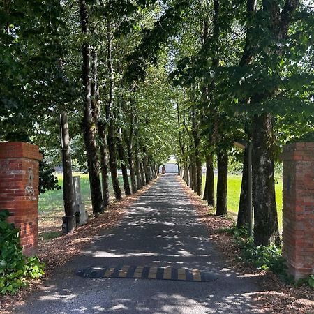 Casa Tea immersa nel verde con parcheggio gratuito Lucca Esterno foto