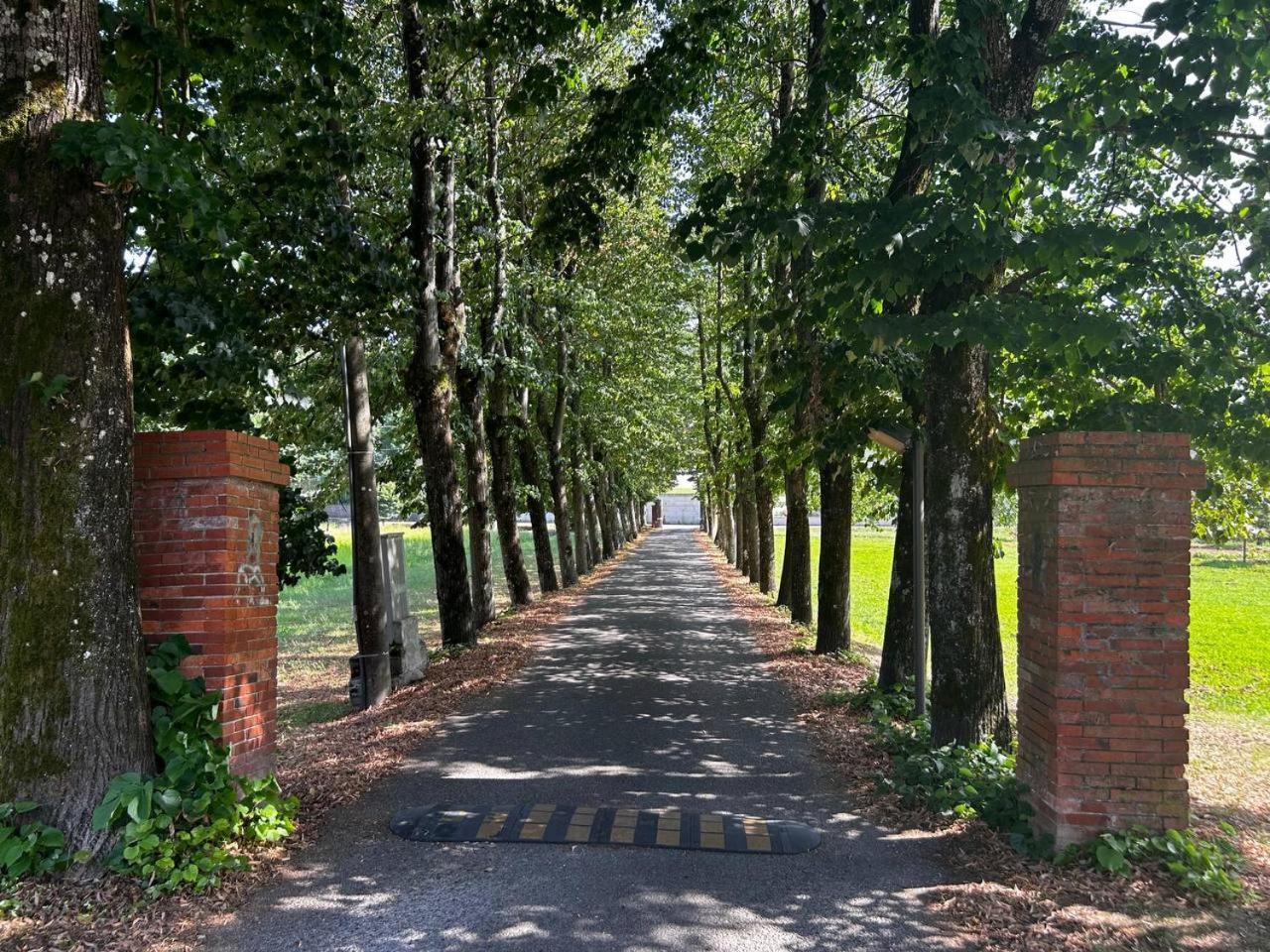 Casa Tea immersa nel verde con parcheggio gratuito Lucca Esterno foto